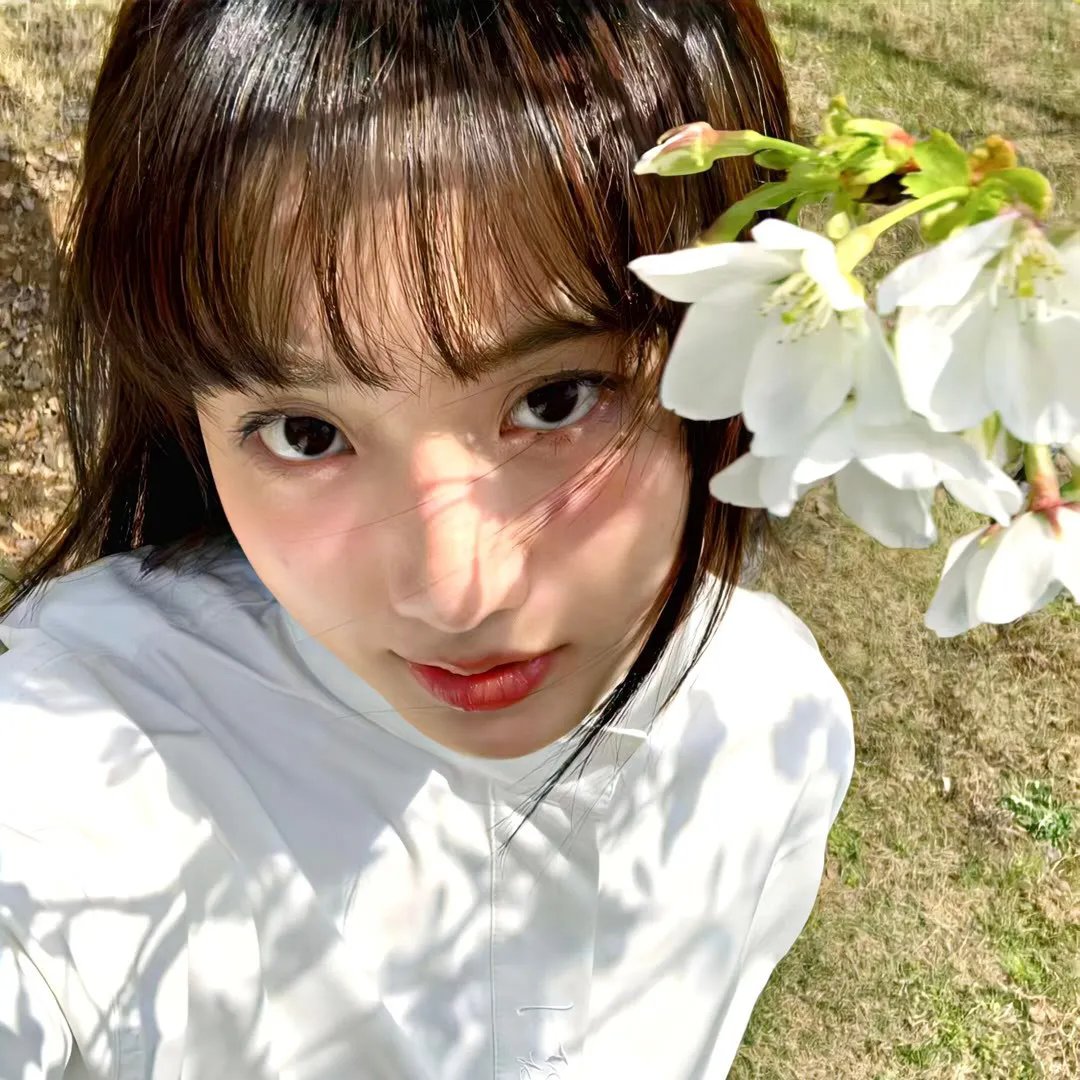 安妮·法兰克的最后七个月